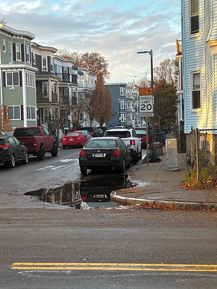 Image submitted with report