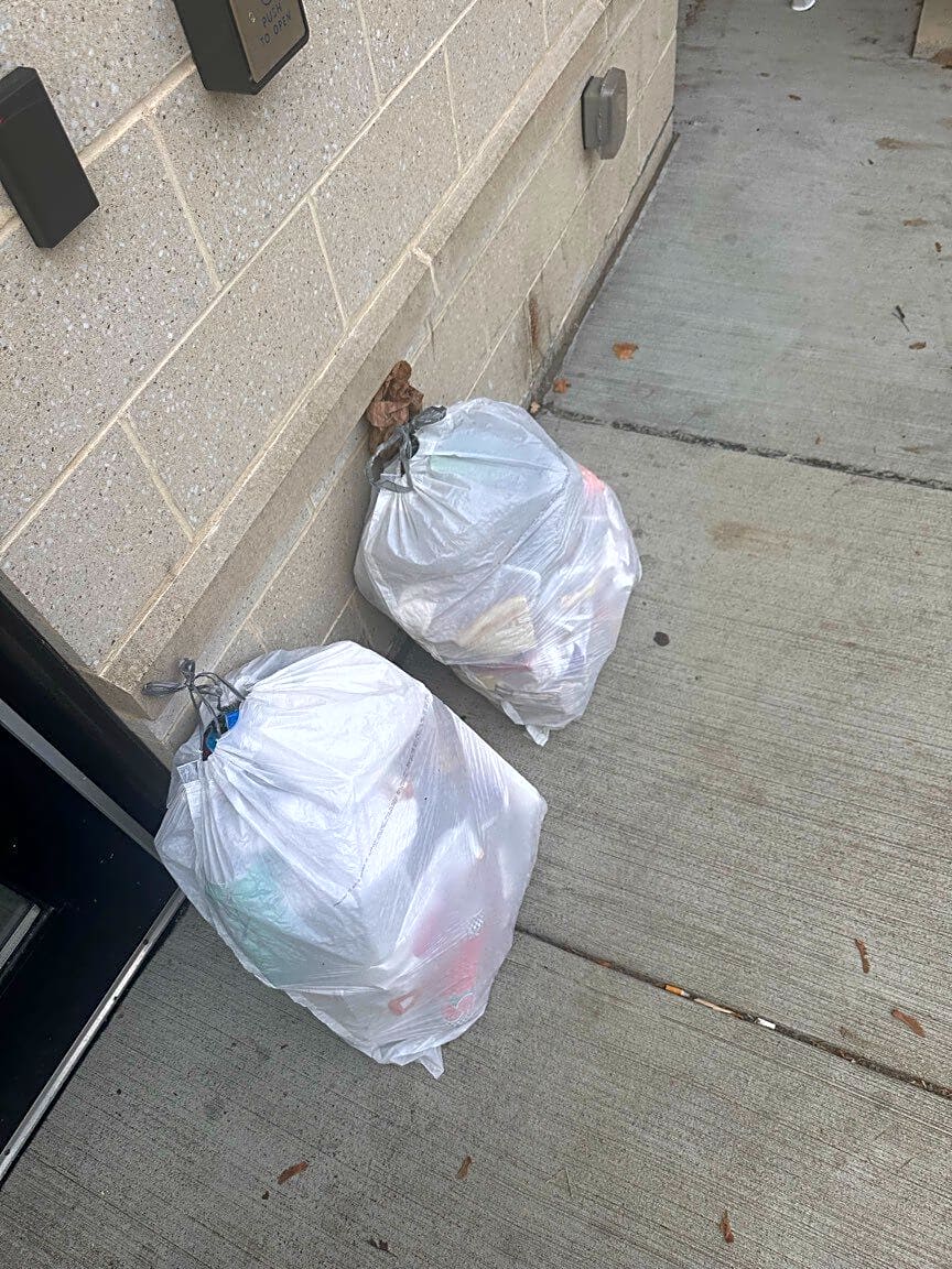 Image submitted with report