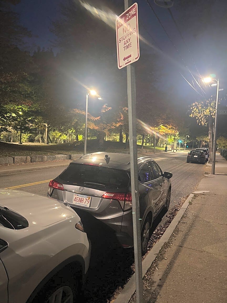 Image submitted with report