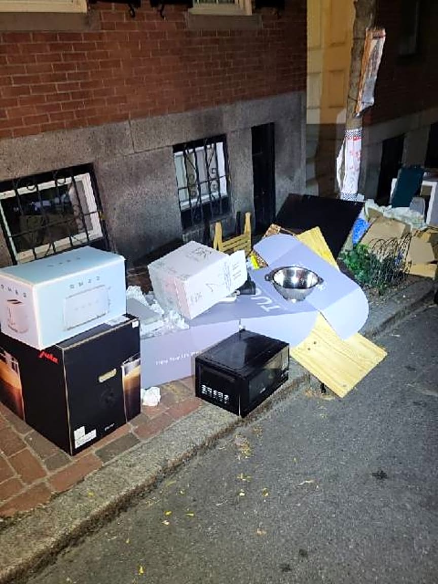 Image submitted with report
