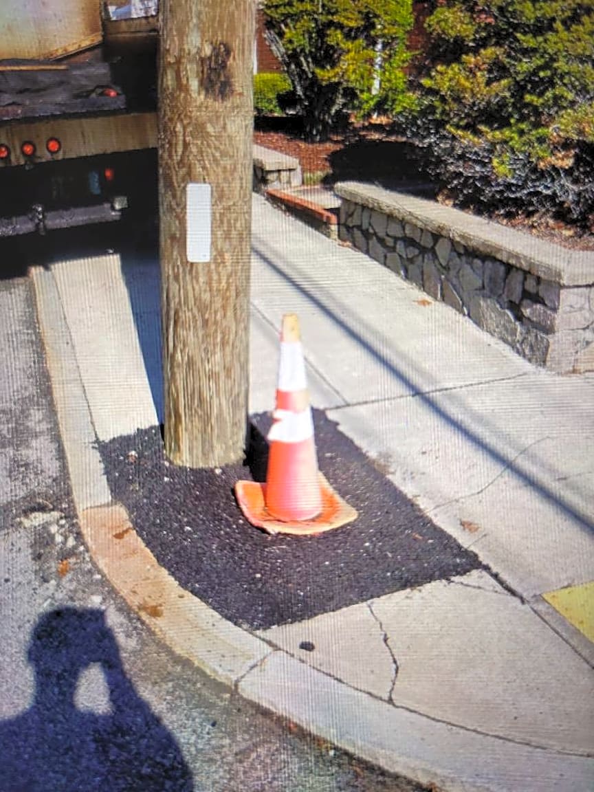 Image submitted with report