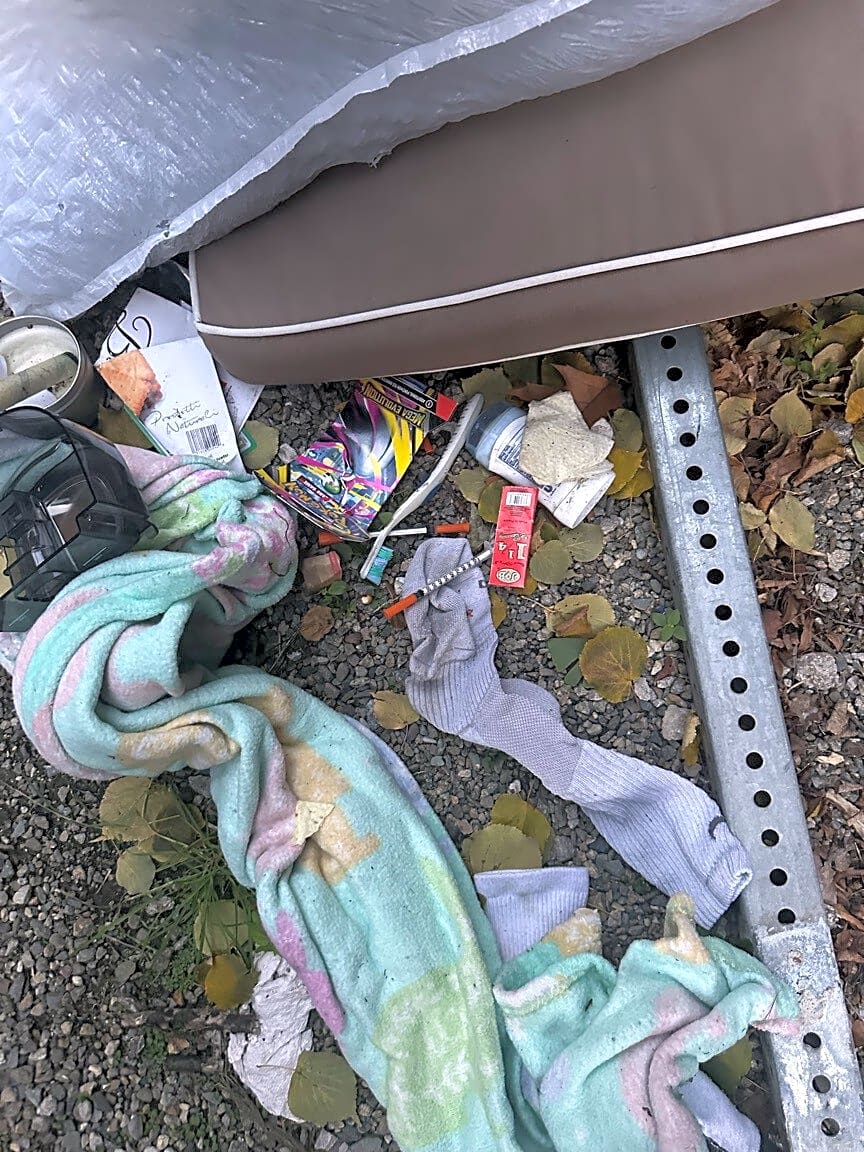 Image submitted with report