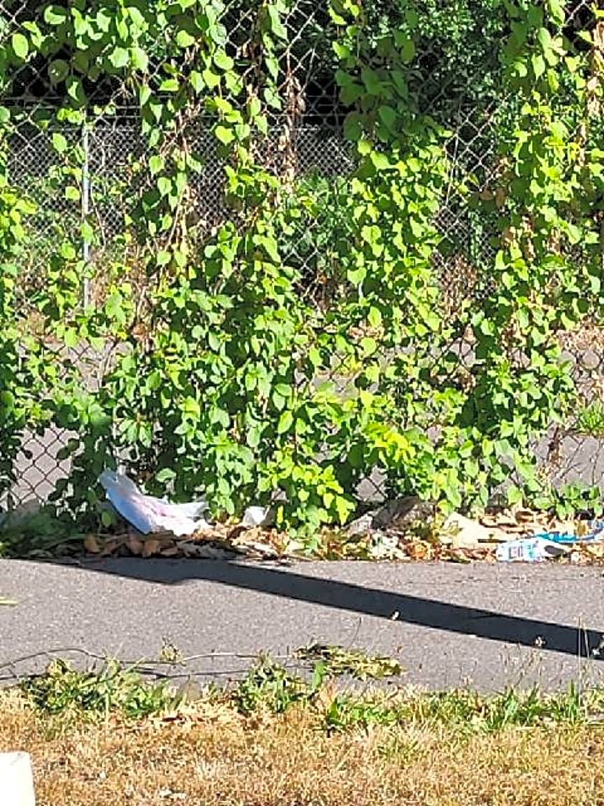 Image submitted with report