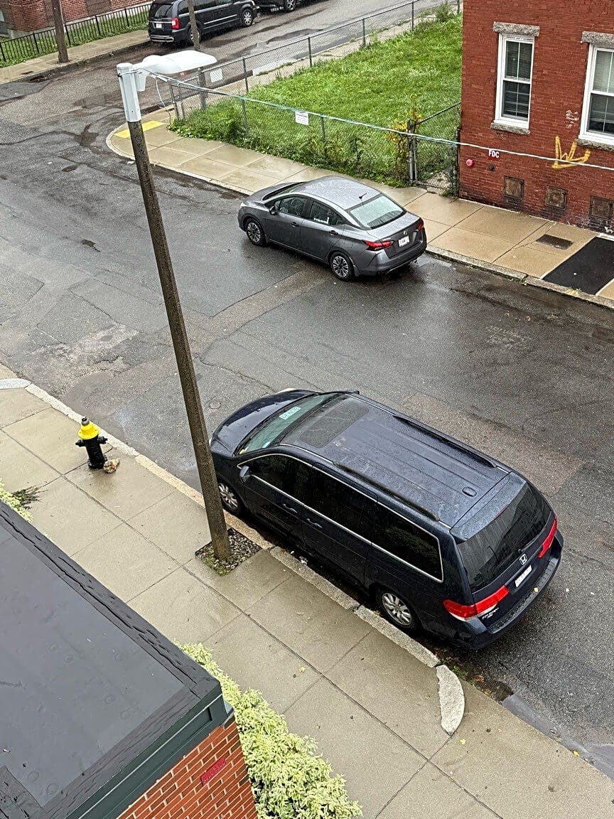 Image submitted with report