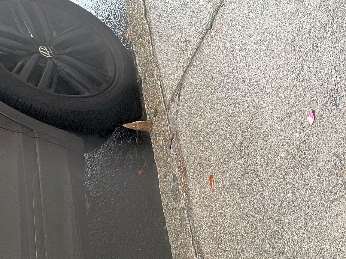 Image submitted with report