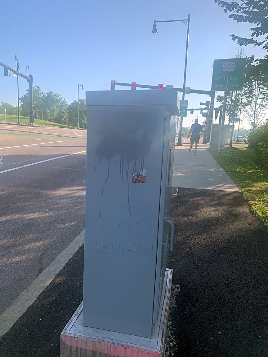 Image submitted with report