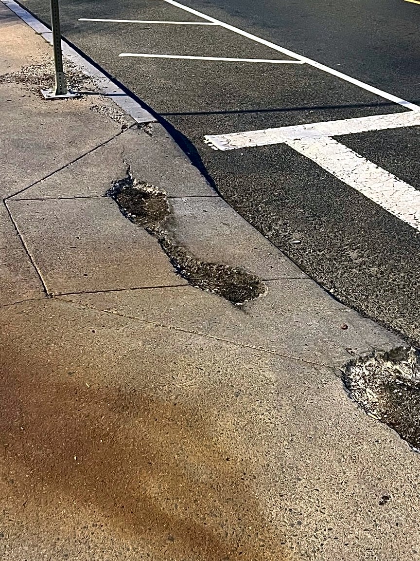 Image submitted with report