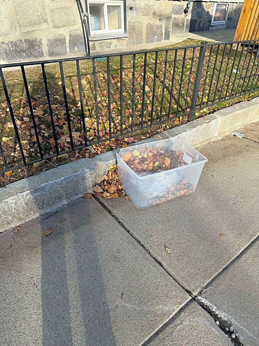 Image submitted with report