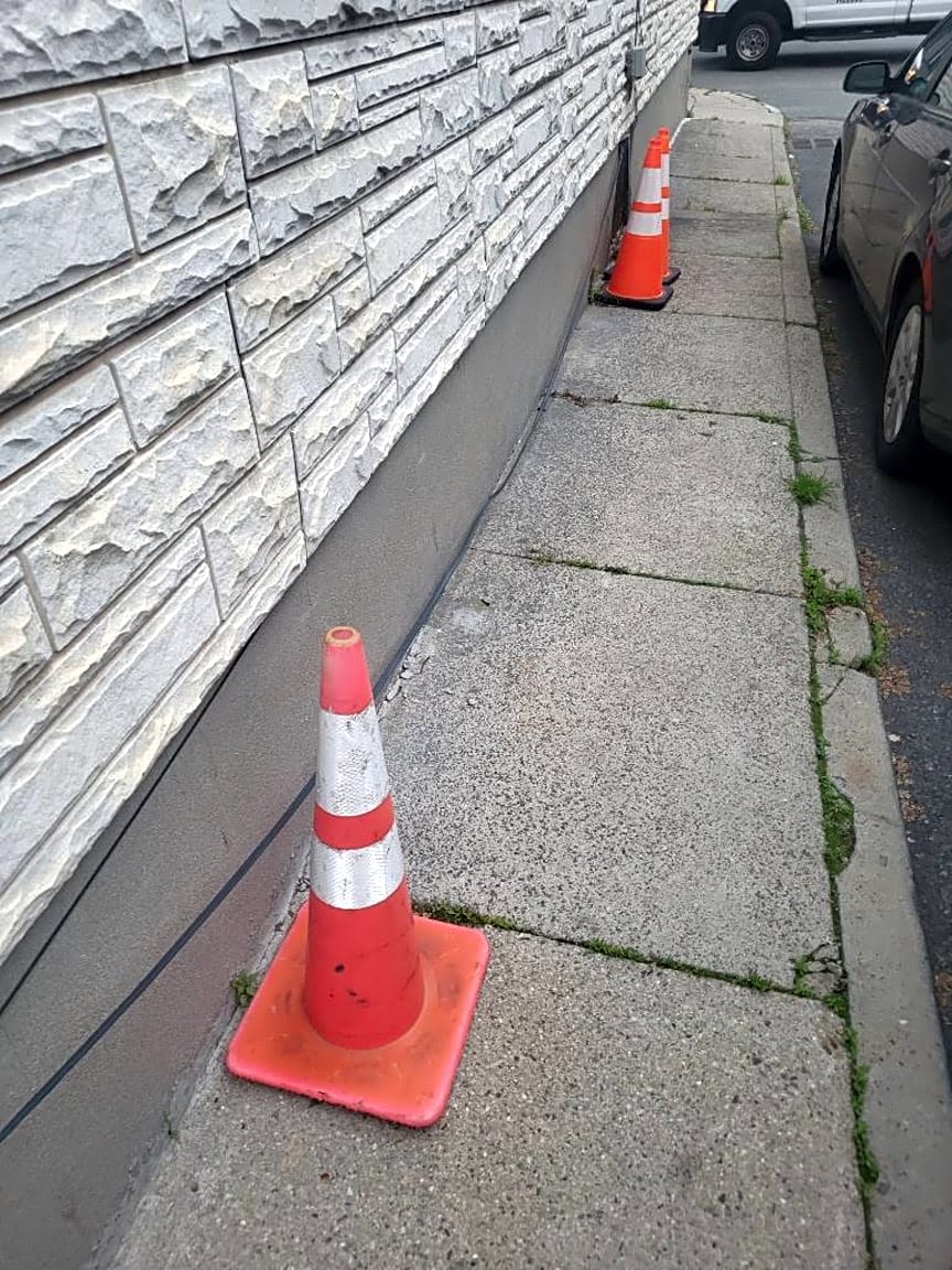 Image submitted with report