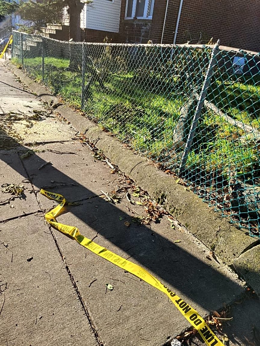 Image submitted with report