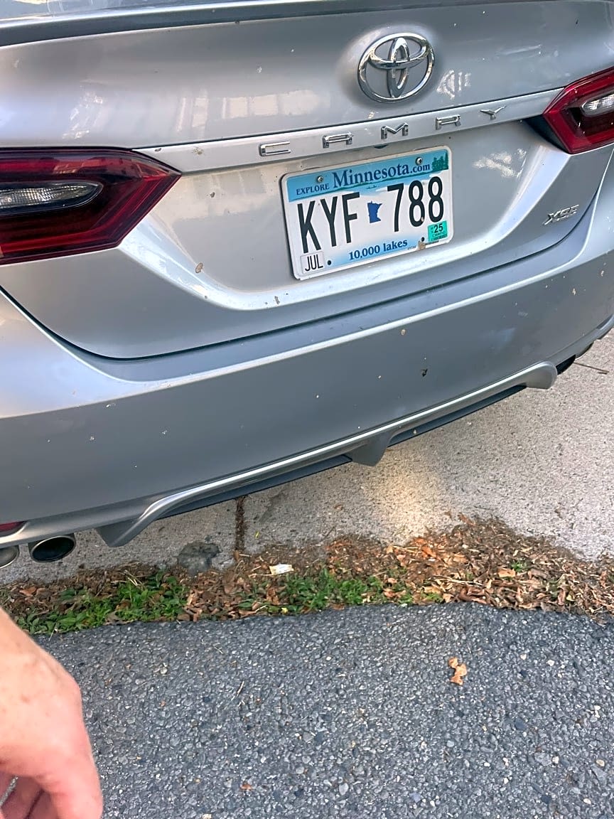 Image submitted with report