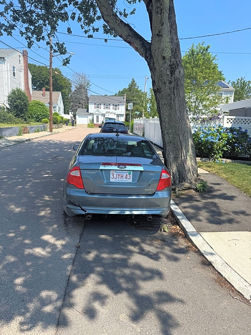 Image submitted with report