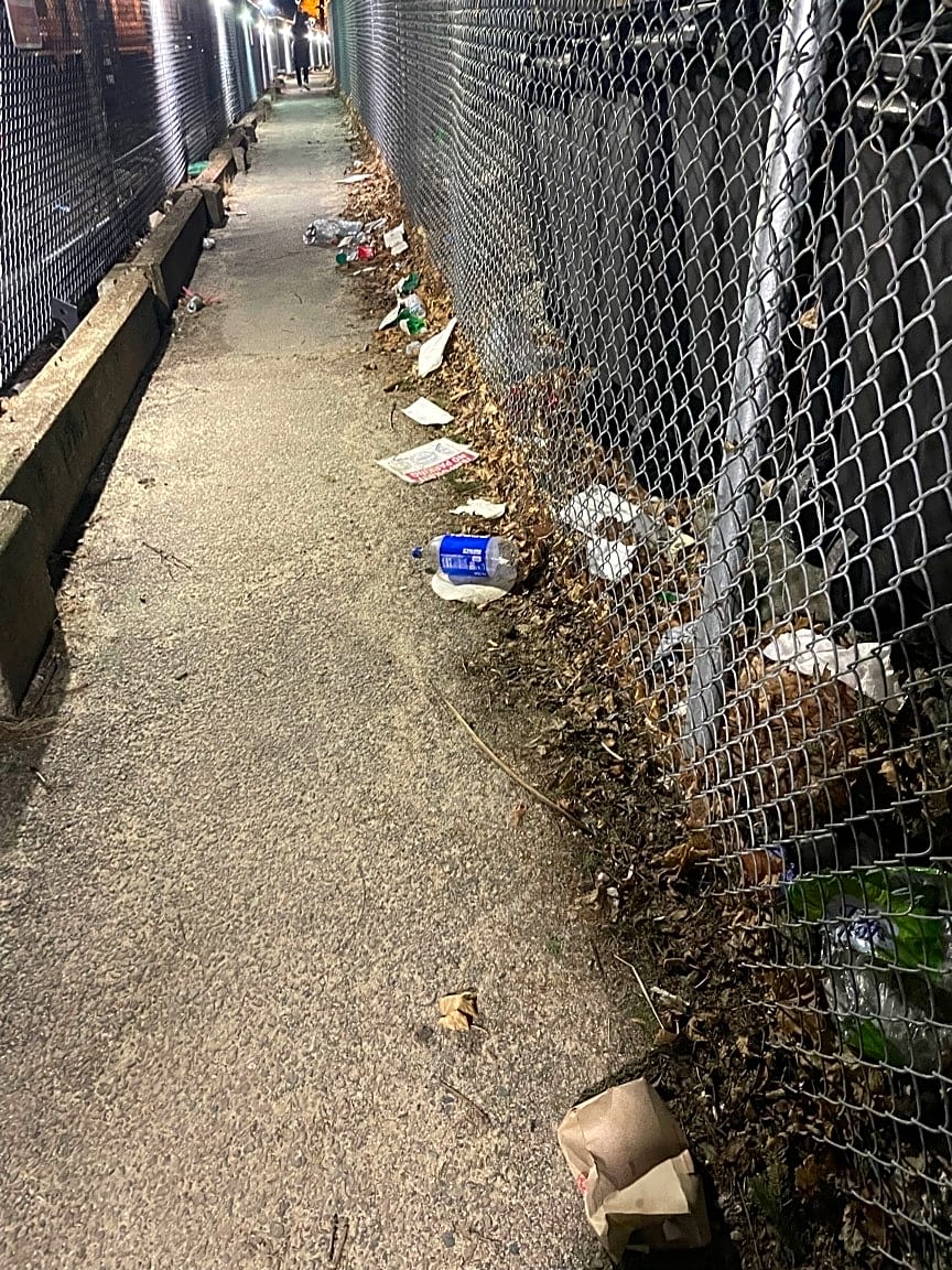 Image submitted with report