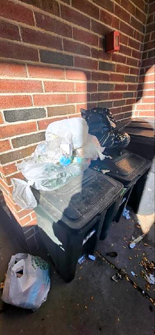 Image submitted with report