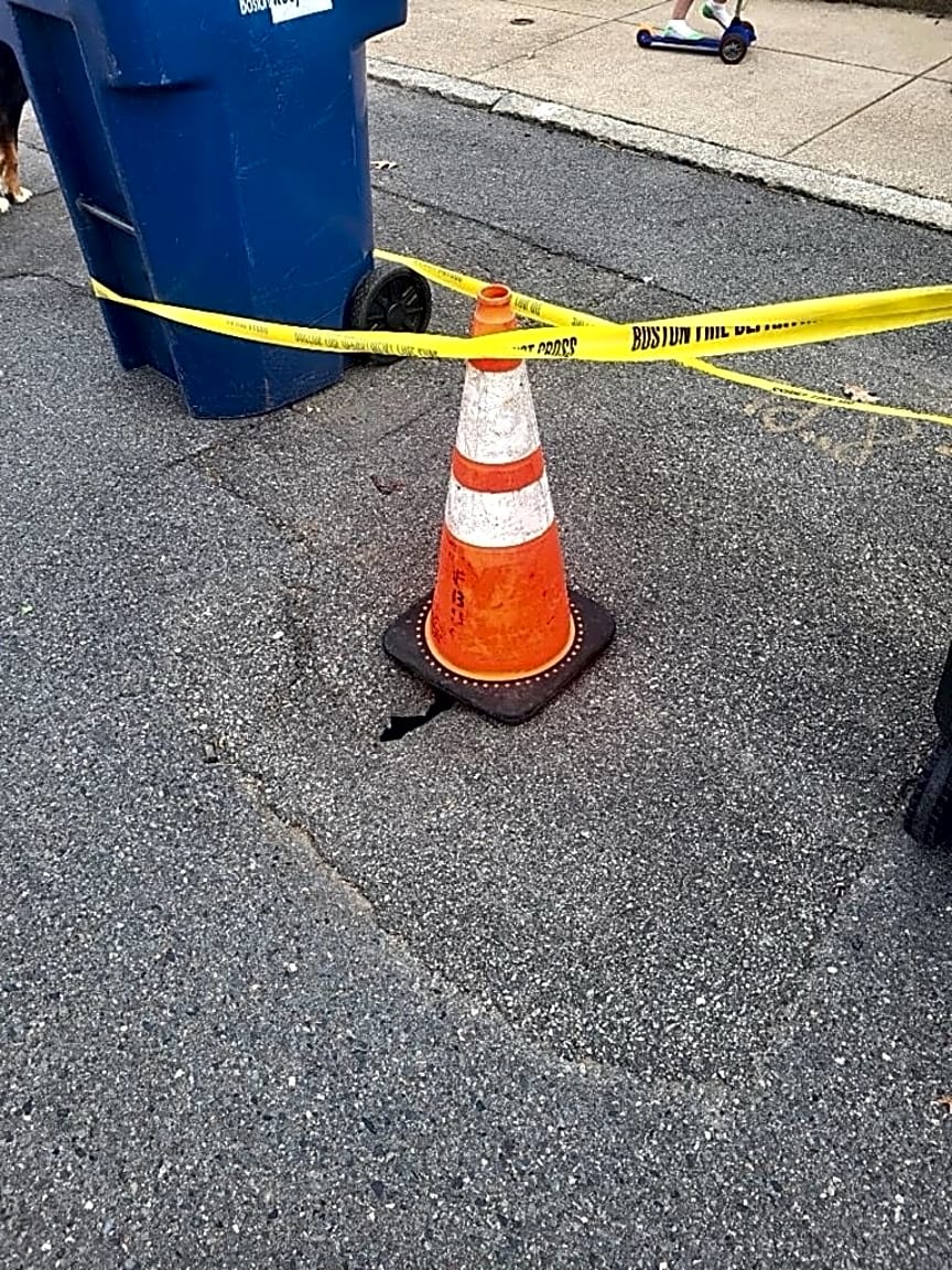 Image submitted with report