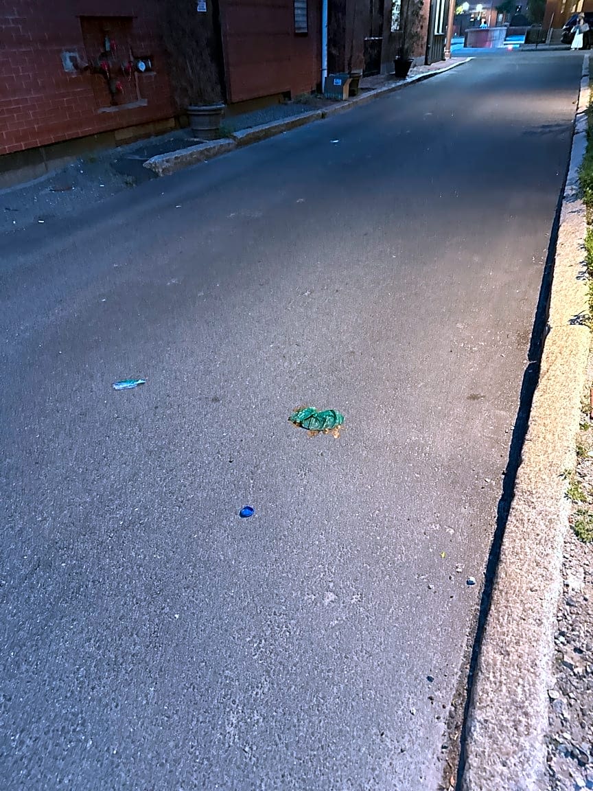 Image submitted with report