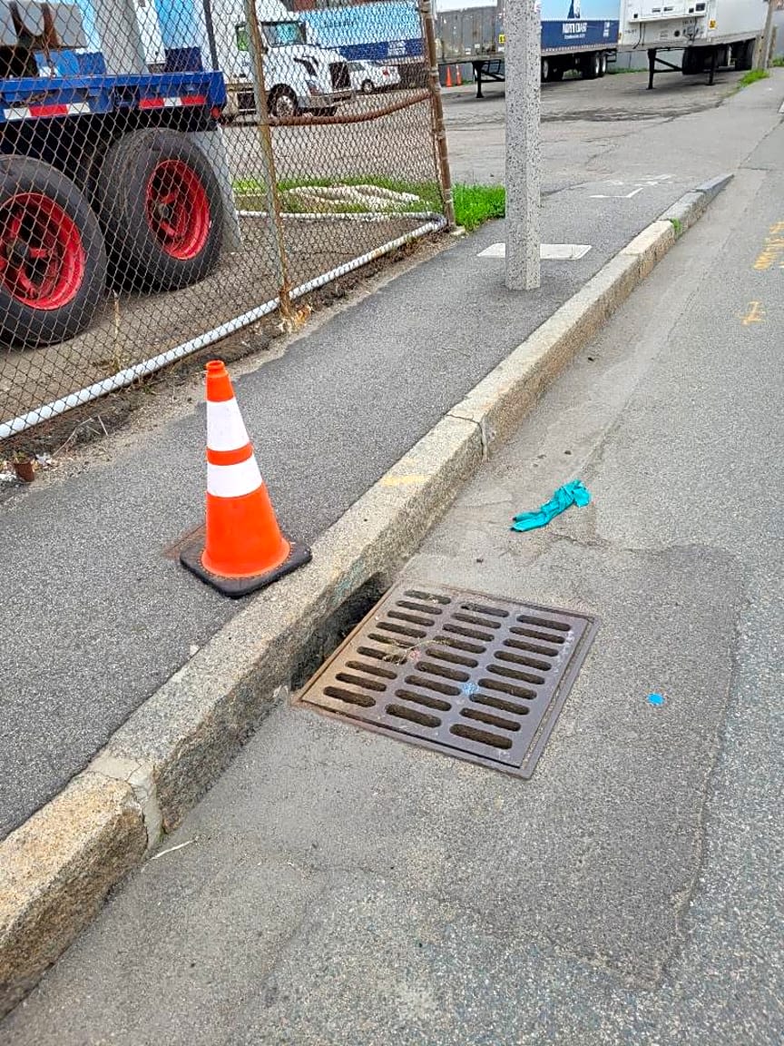Image submitted with report