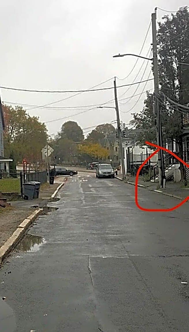 Image submitted with report