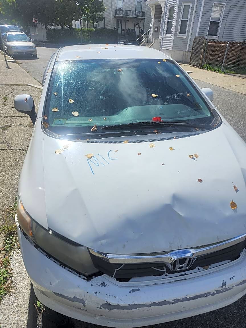 Image submitted with report