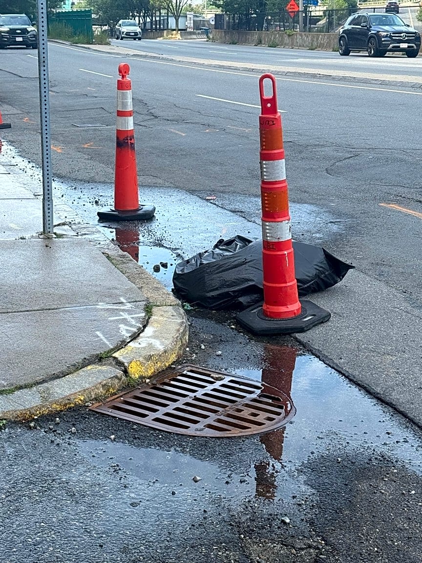 Image submitted with report