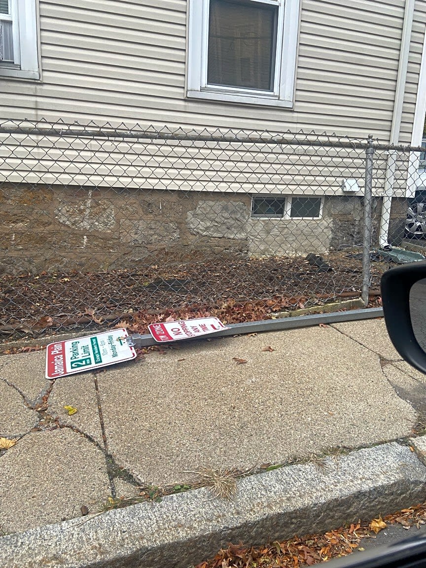 Image submitted with report