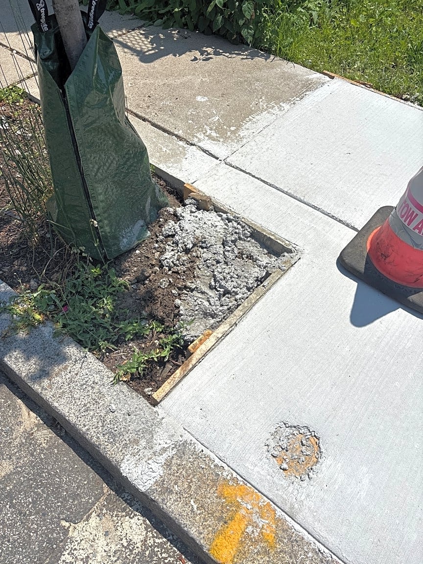 Image submitted with report
