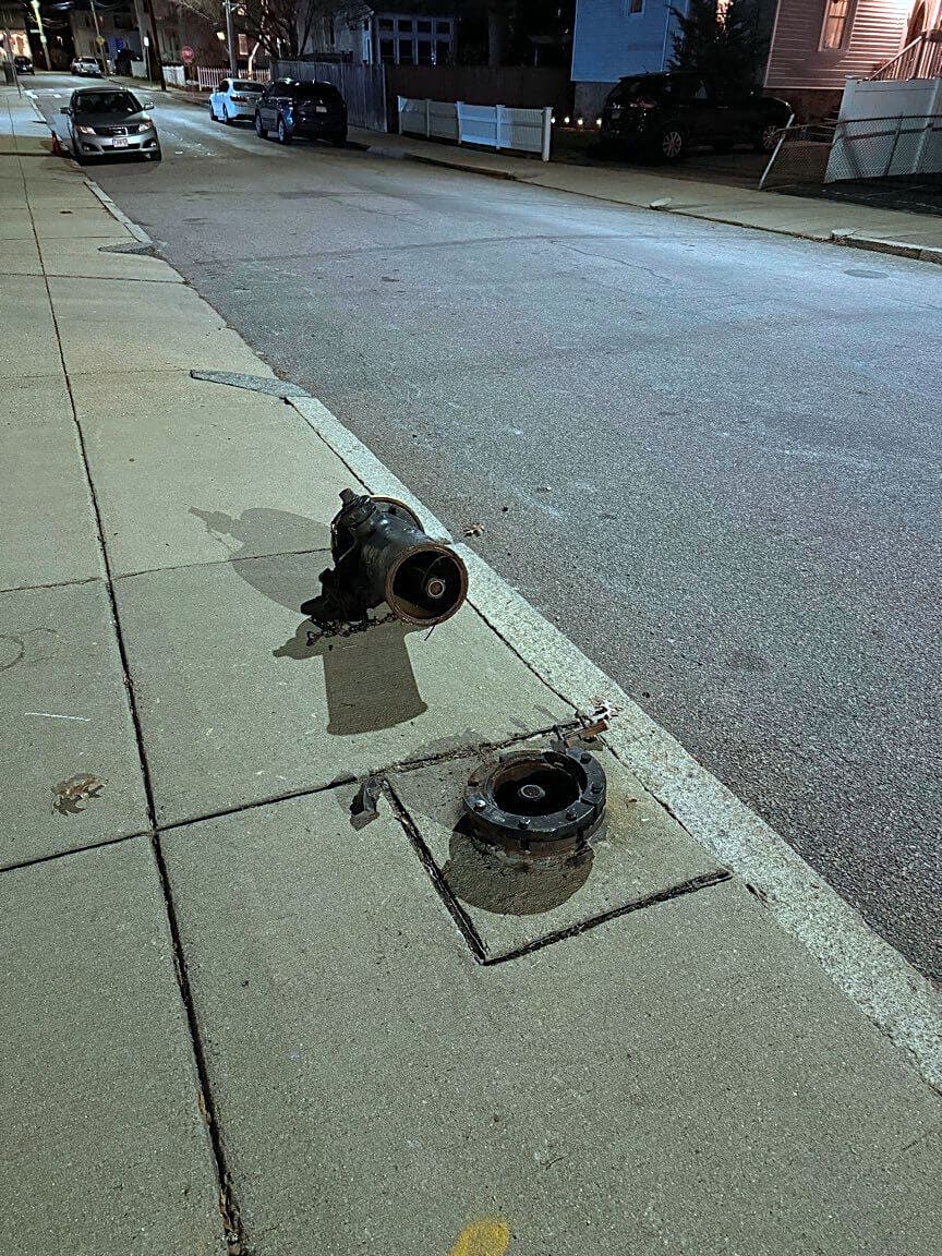 Image submitted with report