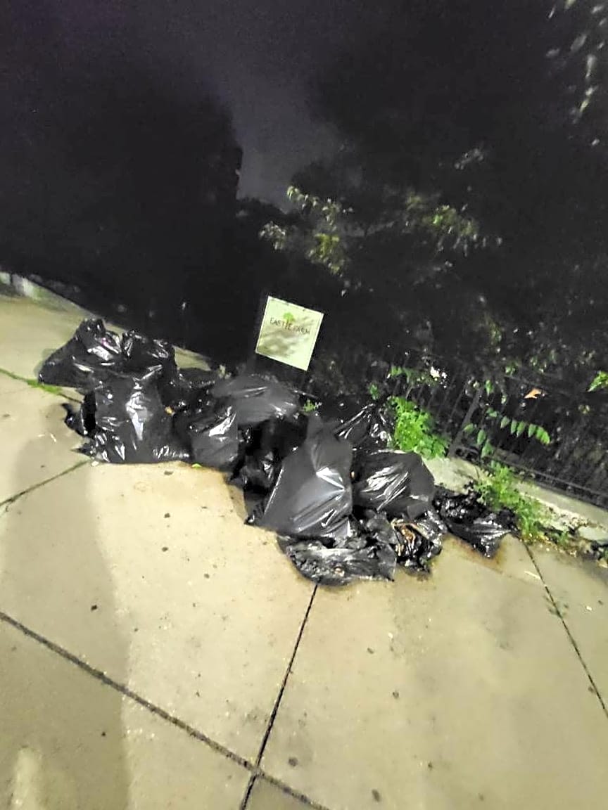 Image submitted with report