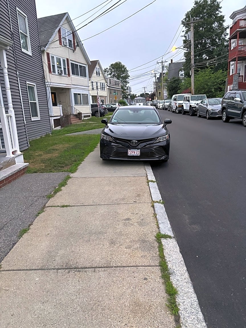 Image submitted with report