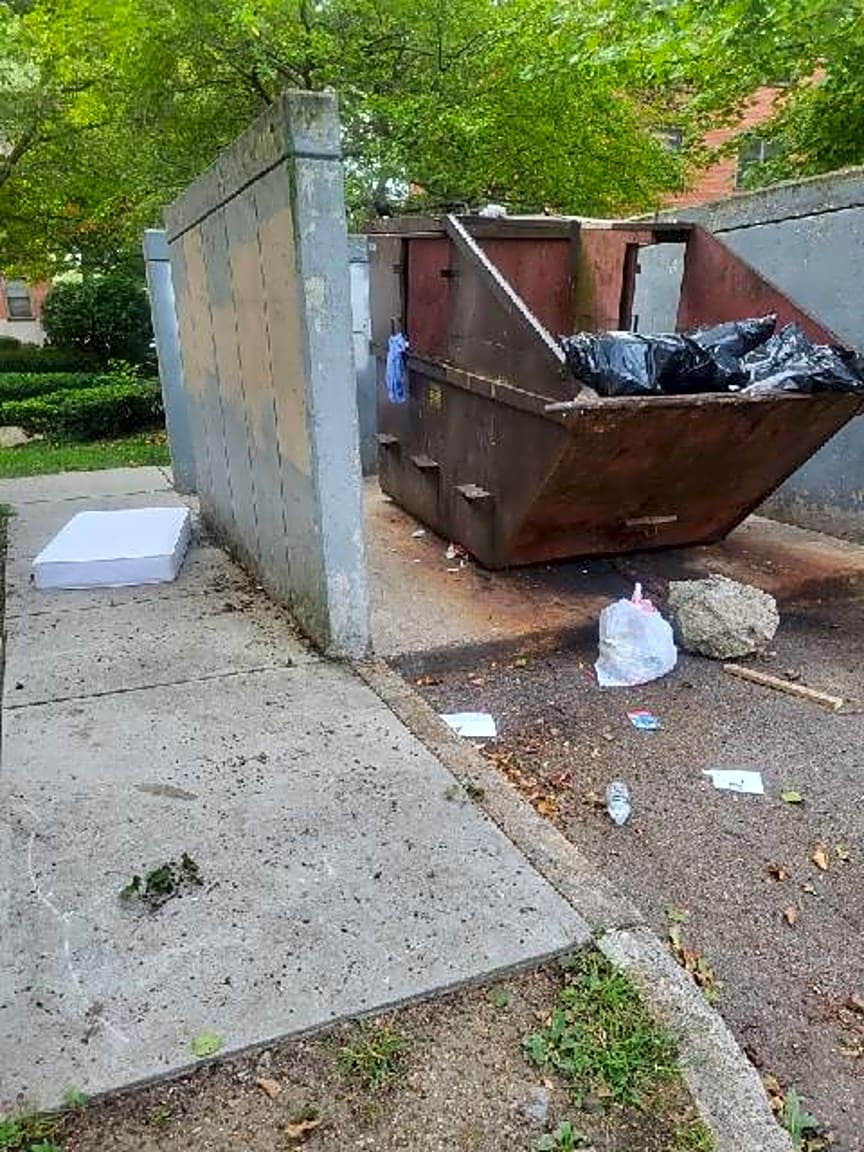 Image submitted with report