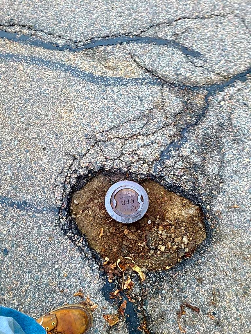 Image submitted with report