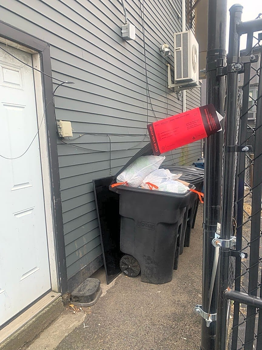 Image submitted with report