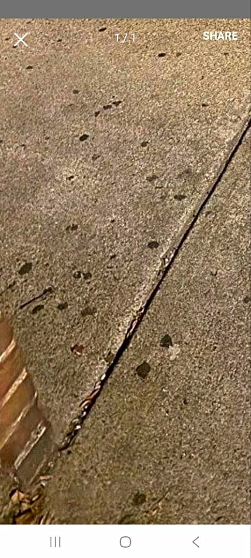 Image submitted with report