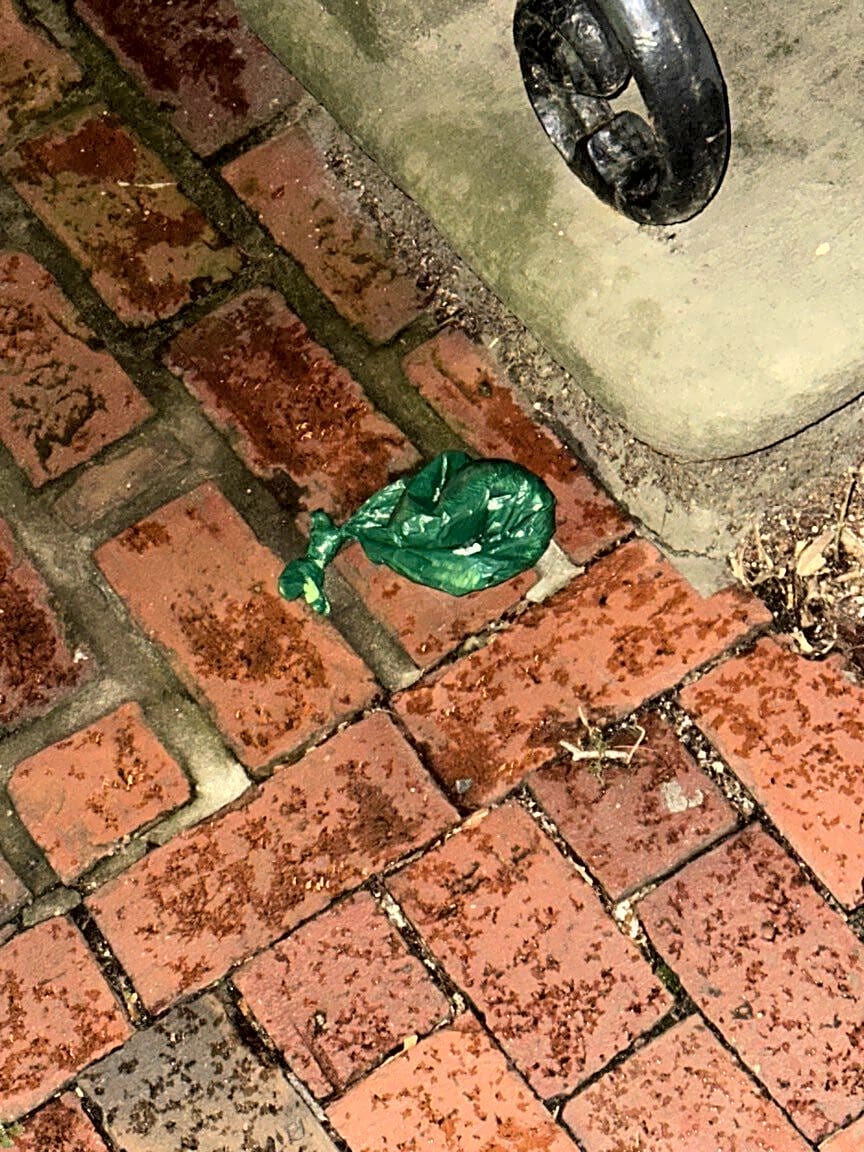 Image submitted with report