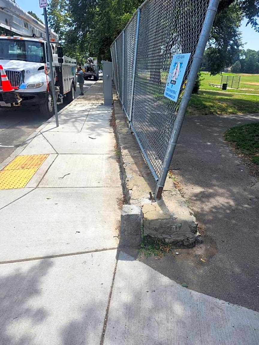 Image submitted with report