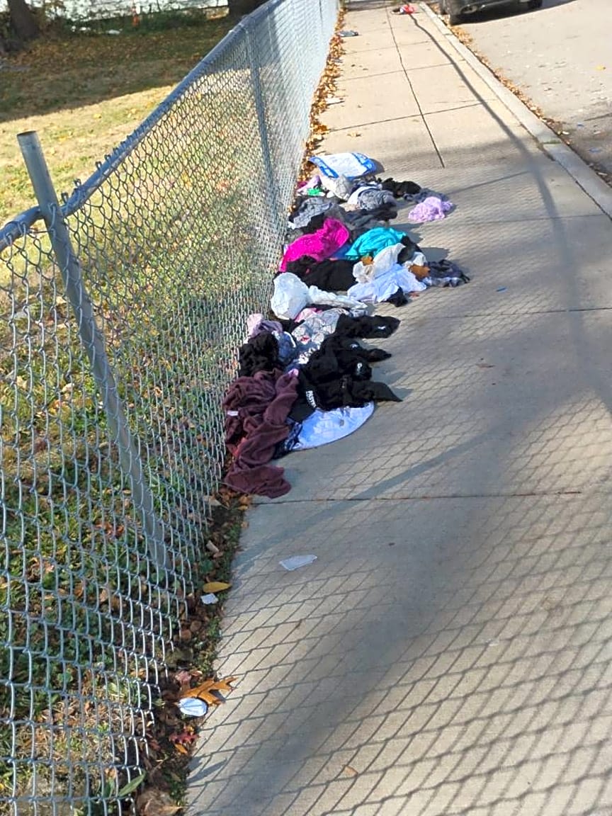 Image submitted with report