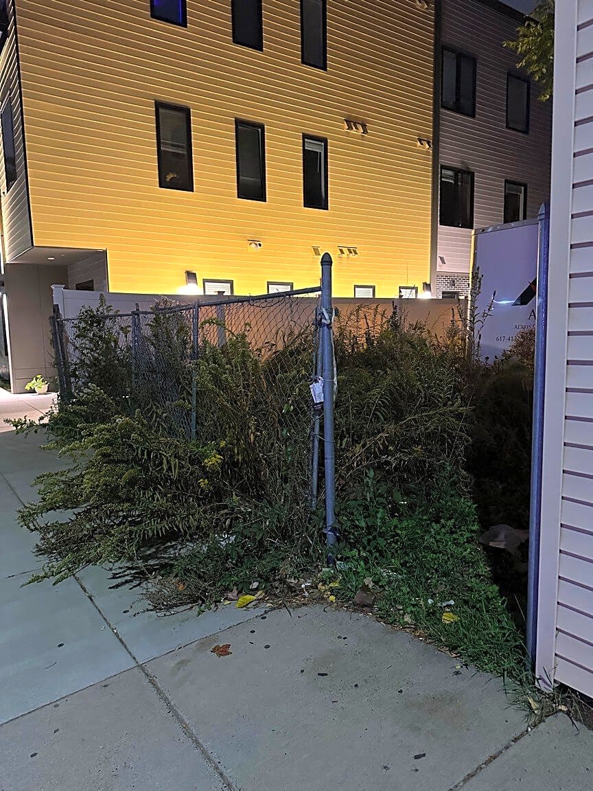 Image submitted with report