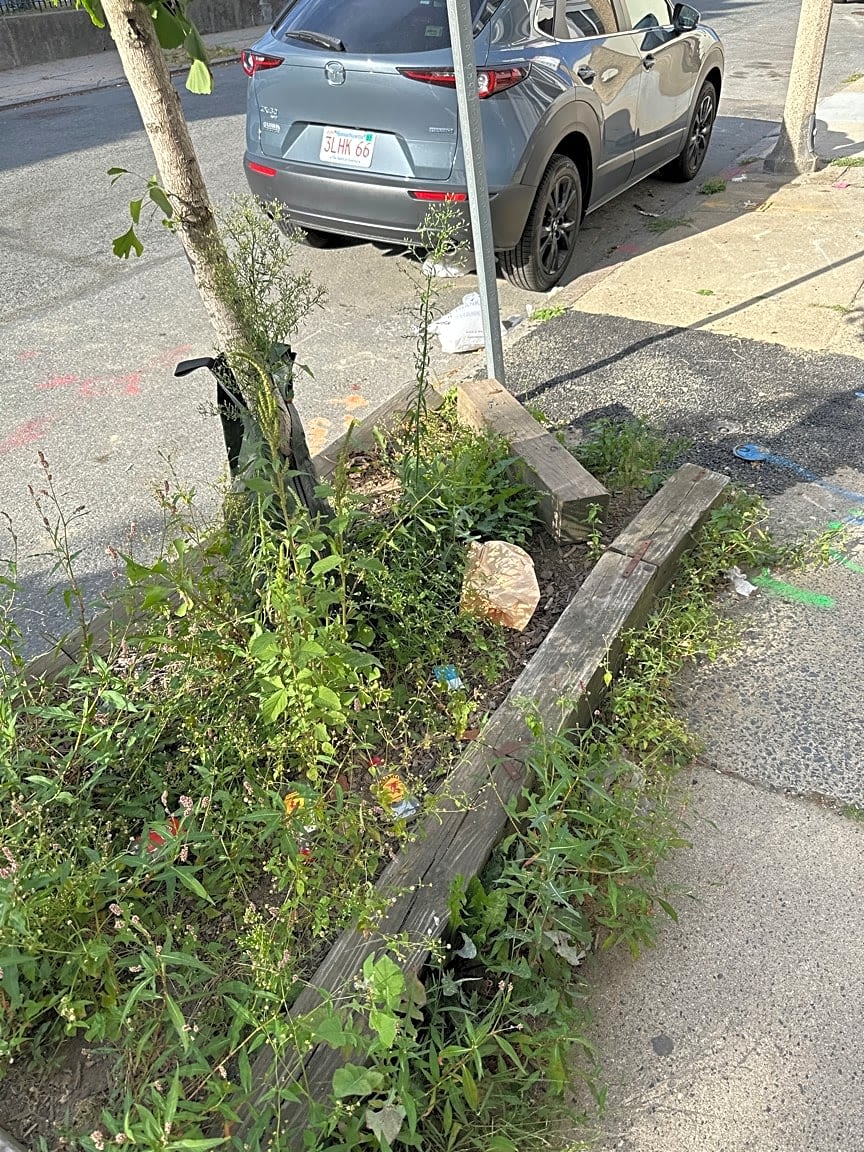 Image submitted with report