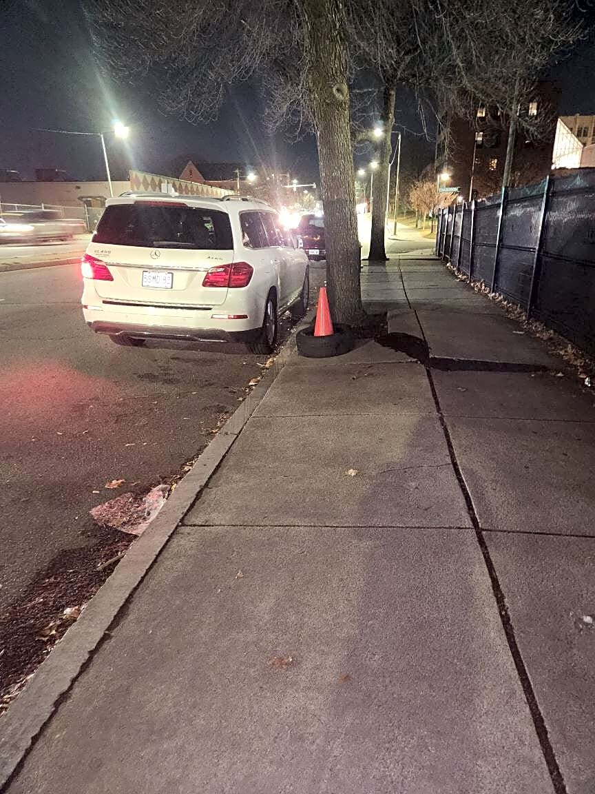 Image submitted with report