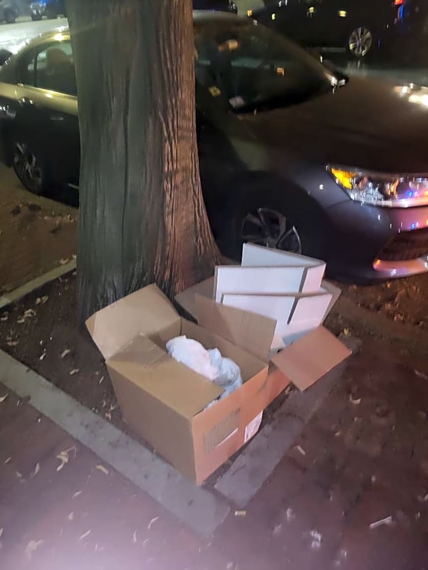 Image submitted with report