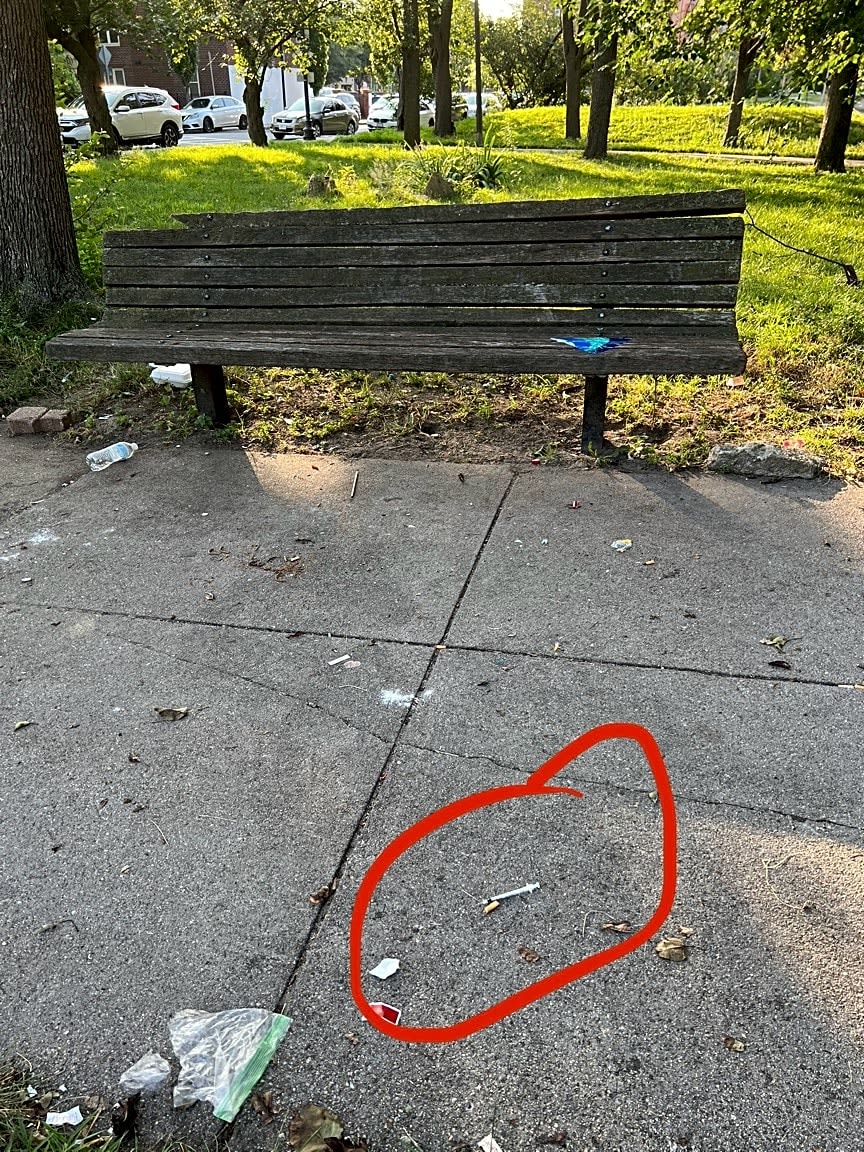 Image submitted with report