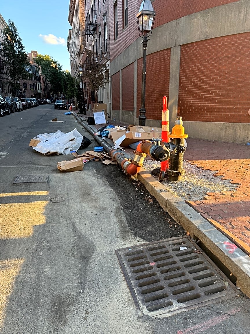 Image submitted with report