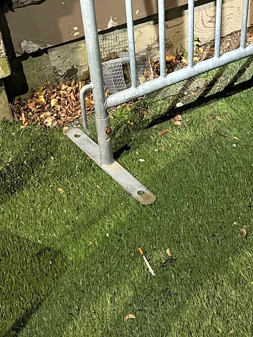 Image submitted with report