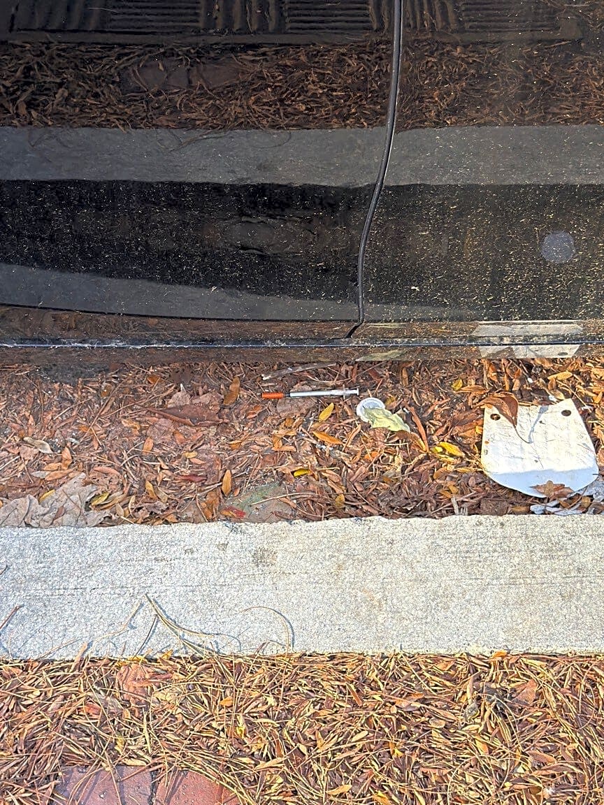 Image submitted with report