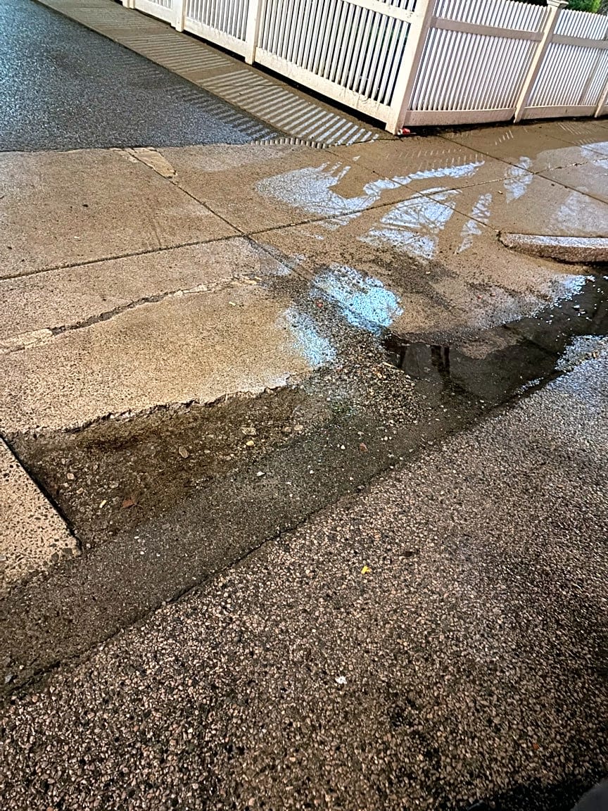Image submitted with report