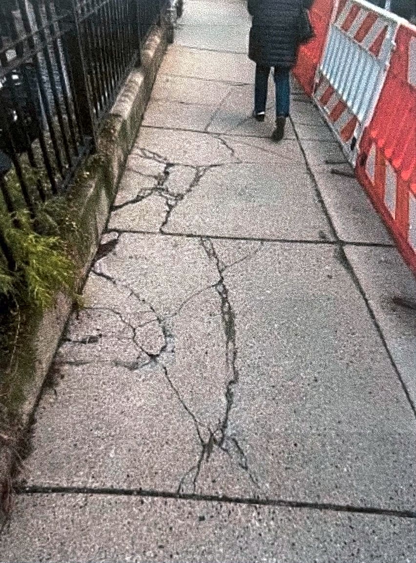Image submitted with report