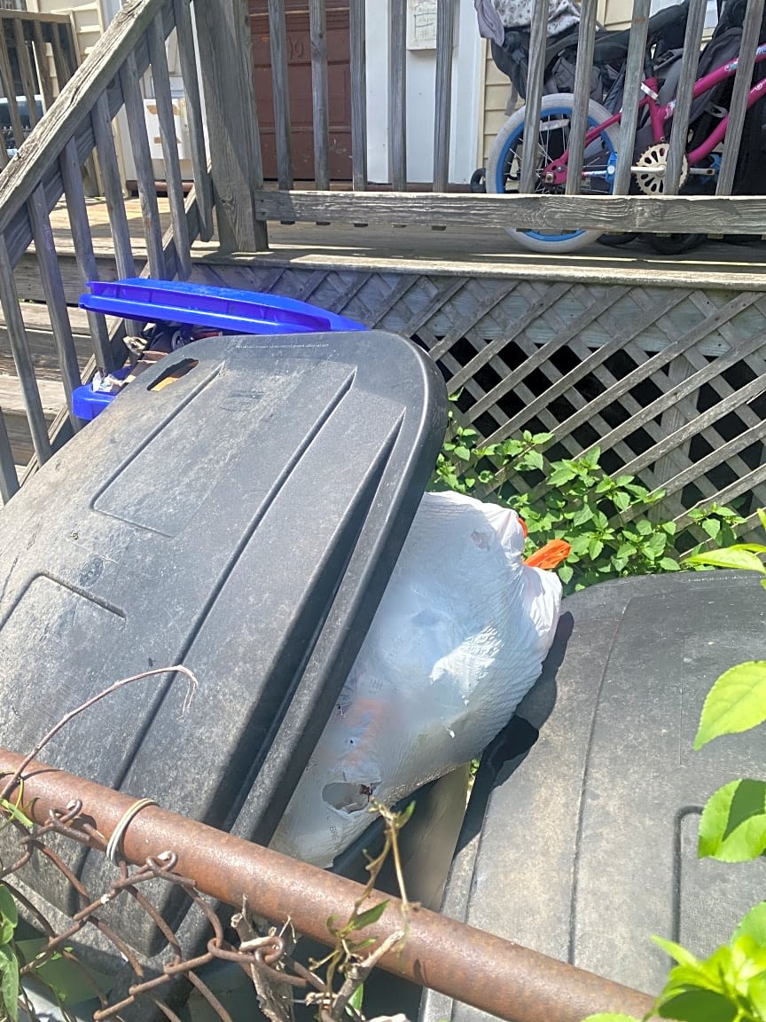 Image submitted with report