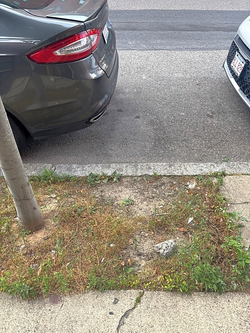 Image submitted with report