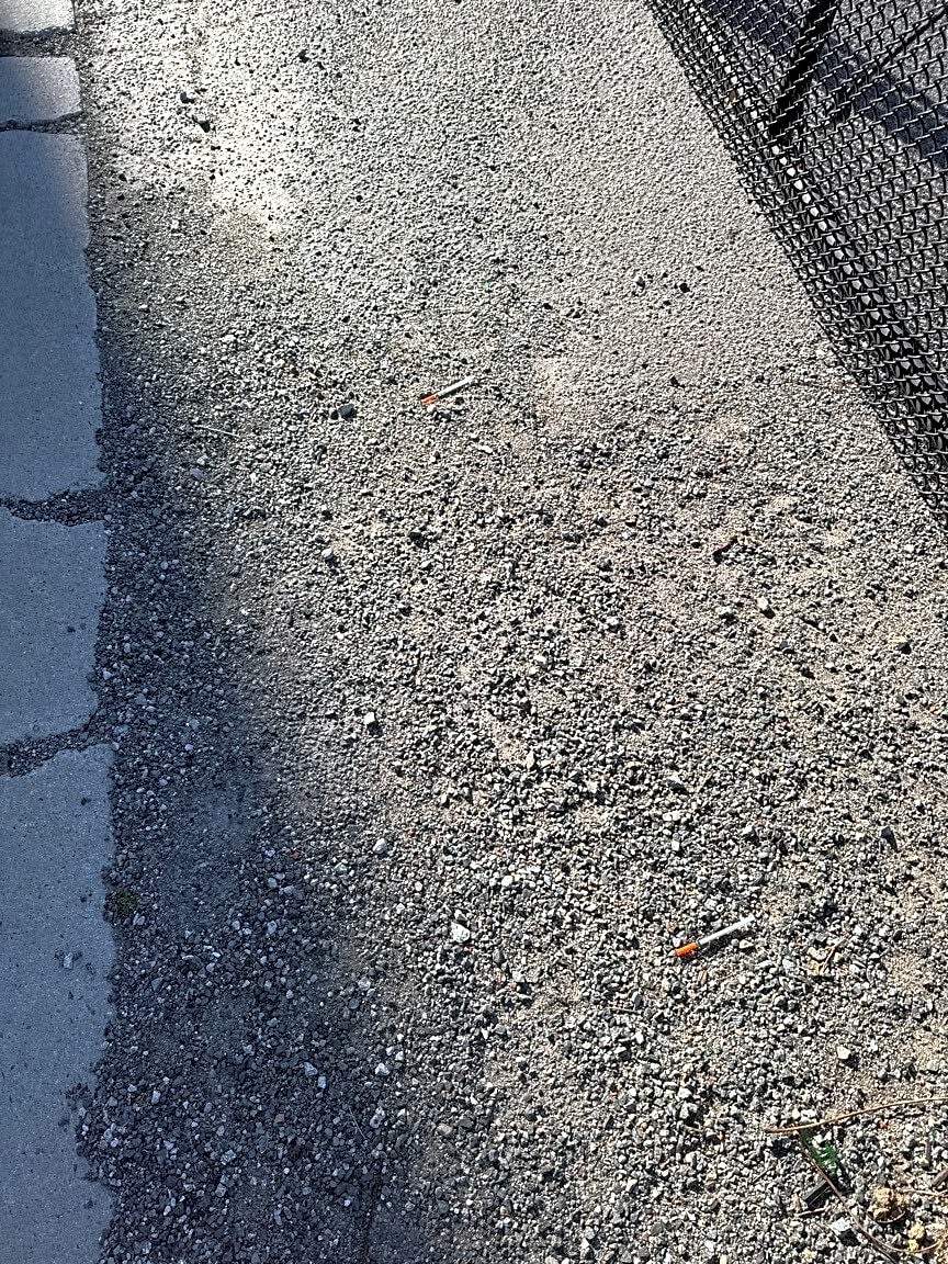 Image submitted with report