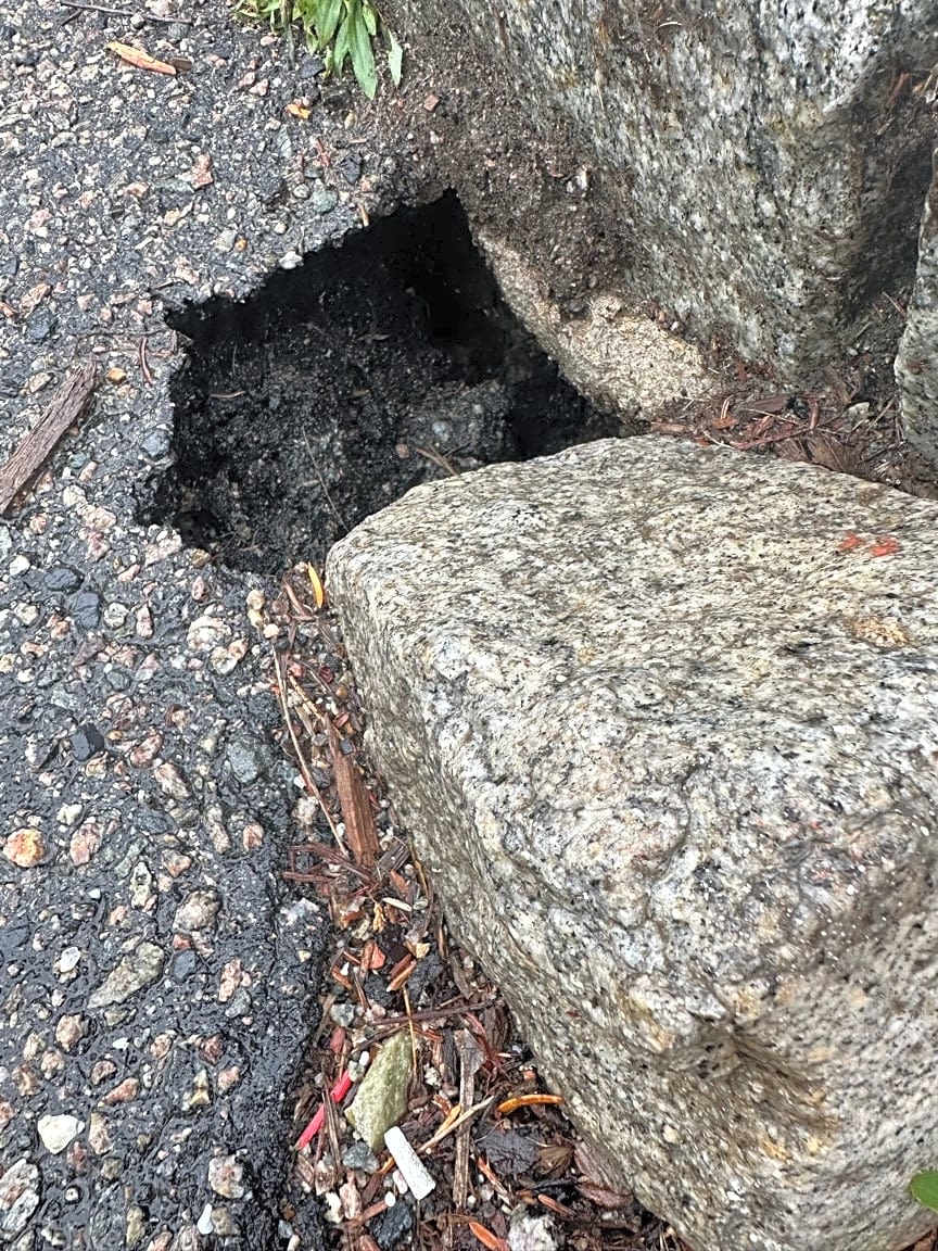 Image submitted with report